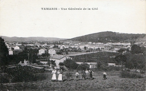Tamaris, vue gnrale
